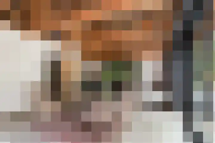 Albaweg 33 Lieren thumbnail 10