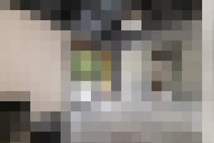 Albaweg 33 Lieren thumbnail 15