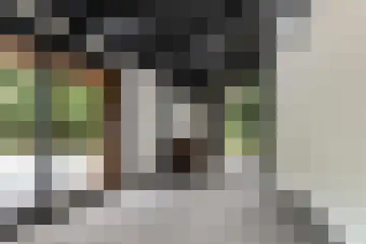 Albaweg 33 Lieren thumbnail 17