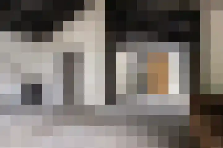 Albaweg 33 Lieren thumbnail 19