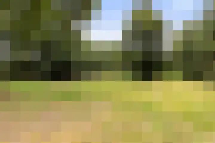Albaweg 33 Lieren thumbnail 37
