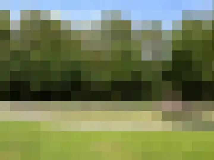 Albaweg 33 Lieren thumbnail 38