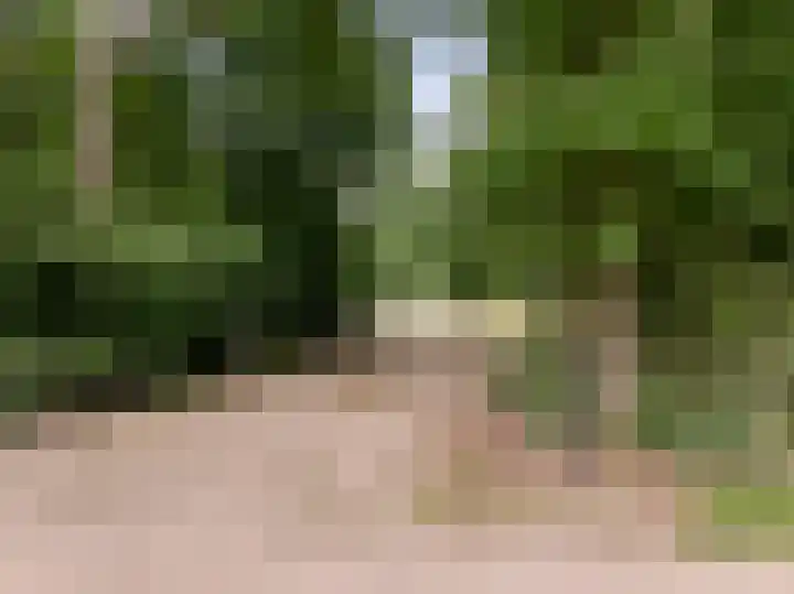 Albaweg 33 Lieren thumbnail 39