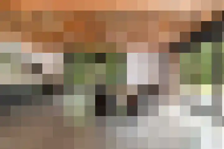 Albaweg 33 Lieren thumbnail 4