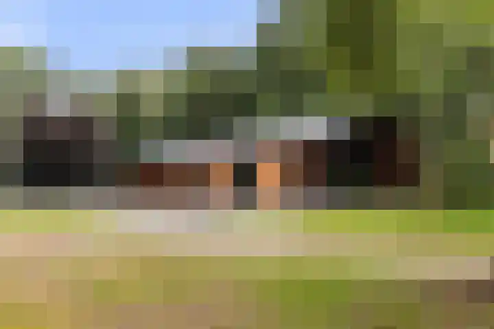 Albaweg 33 Lieren thumbnail 41