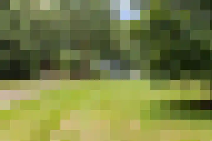 Albaweg 33 Lieren thumbnail 43