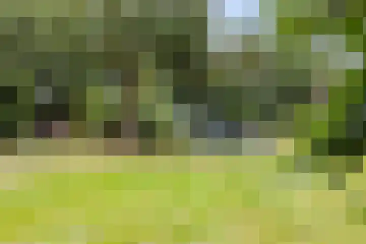Albaweg 33 Lieren thumbnail 44
