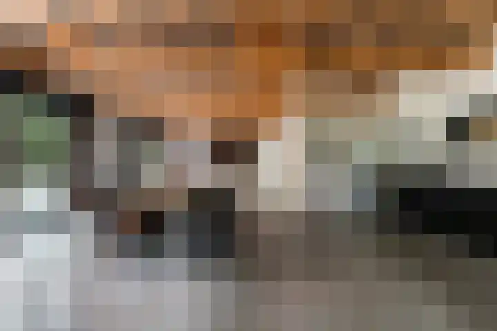 Albaweg 33 Lieren thumbnail 5