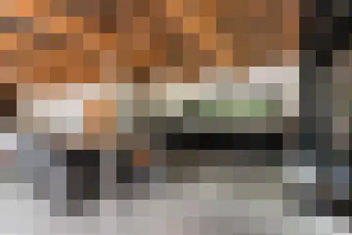 Albaweg 33 Lieren thumbnail 6