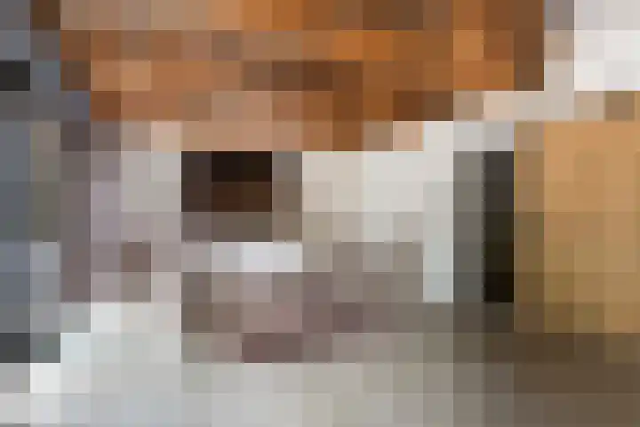 Albaweg 33 Lieren thumbnail 8