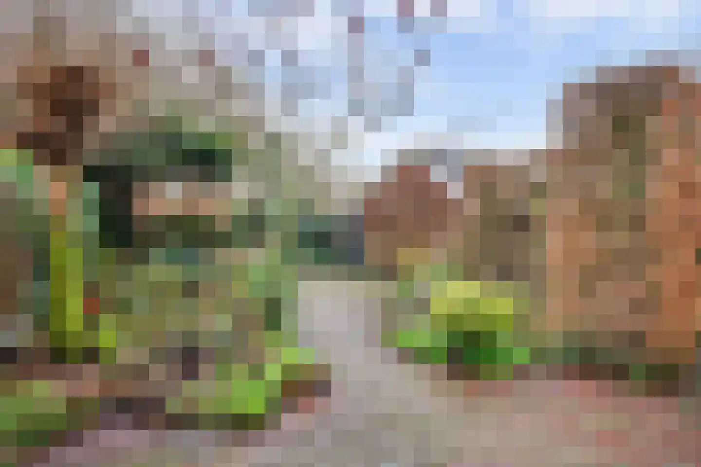 Albemarleweg 6 Warnsveld thumbnail 30
