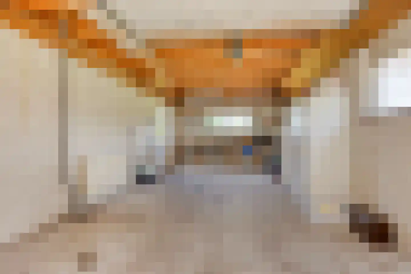 Alberdalaan 2 Nijeberkoop thumbnail 10