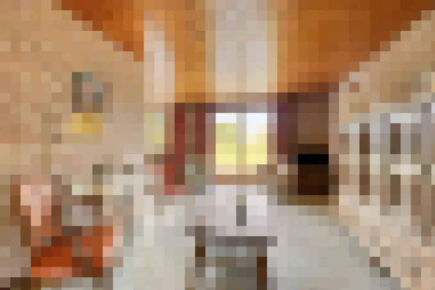 Alberdalaan 2 Nijeberkoop thumbnail 14