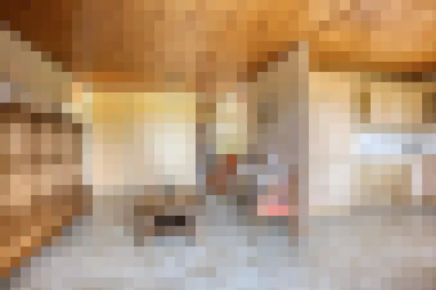 Alberdalaan 2 Nijeberkoop thumbnail 15