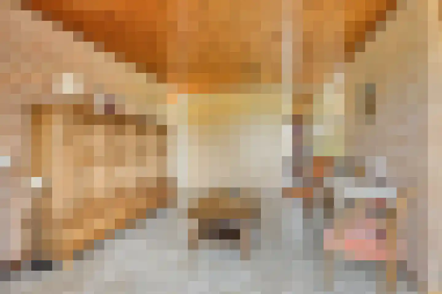 Alberdalaan 2 Nijeberkoop thumbnail 16