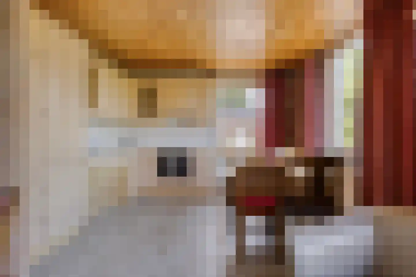 Alberdalaan 2 Nijeberkoop thumbnail 17