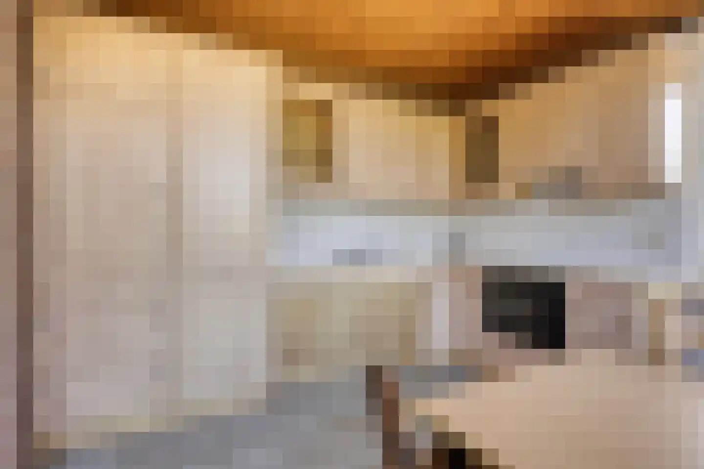 Alberdalaan 2 Nijeberkoop thumbnail 18