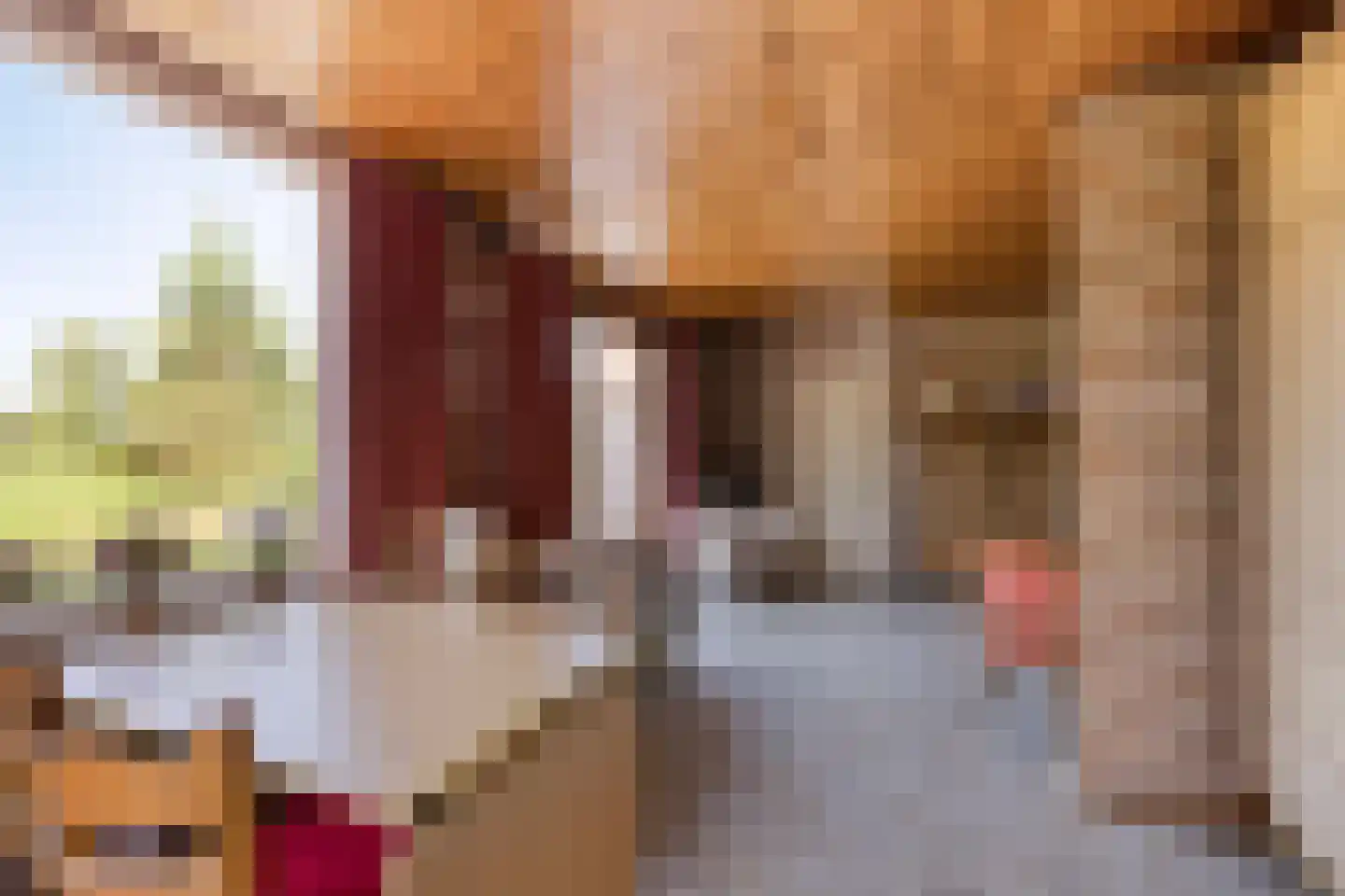 Alberdalaan 2 Nijeberkoop thumbnail 20