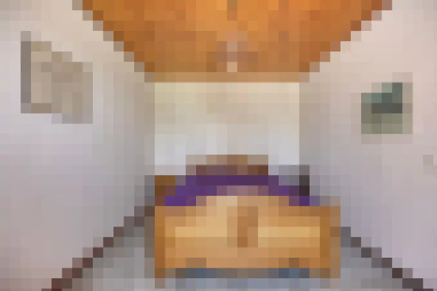 Alberdalaan 2 Nijeberkoop thumbnail 21