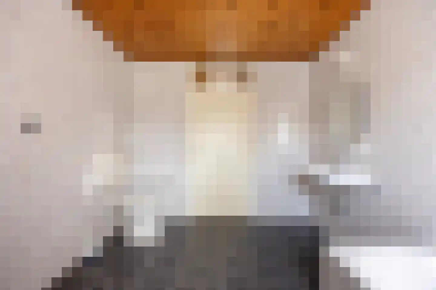 Alberdalaan 2 Nijeberkoop thumbnail 24