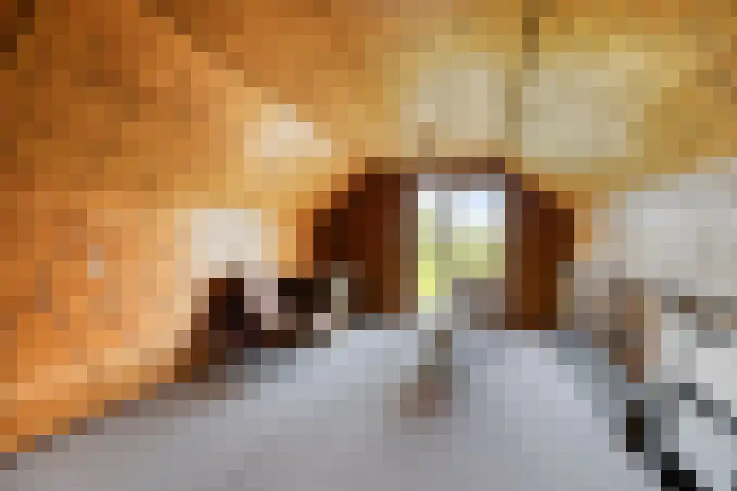 Alberdalaan 2 Nijeberkoop thumbnail 25