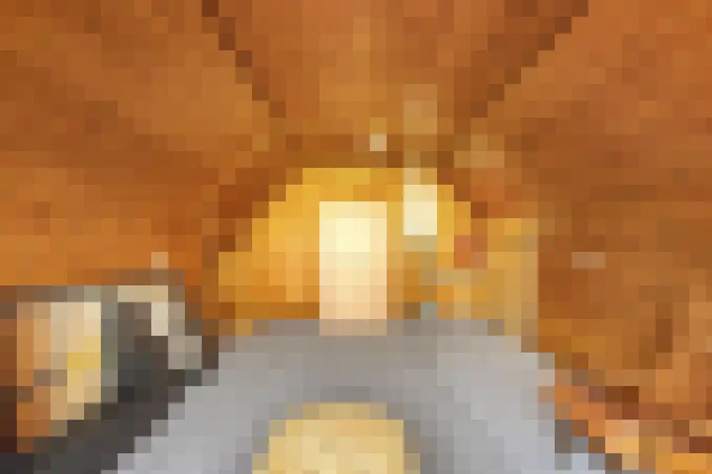 Alberdalaan 2 Nijeberkoop thumbnail 26