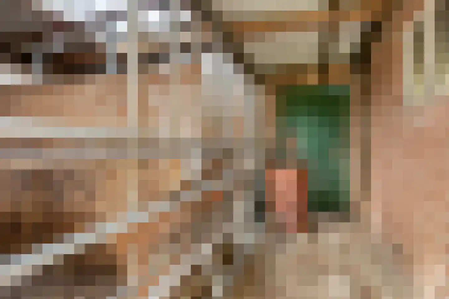 Alberdalaan 2 Nijeberkoop thumbnail 29