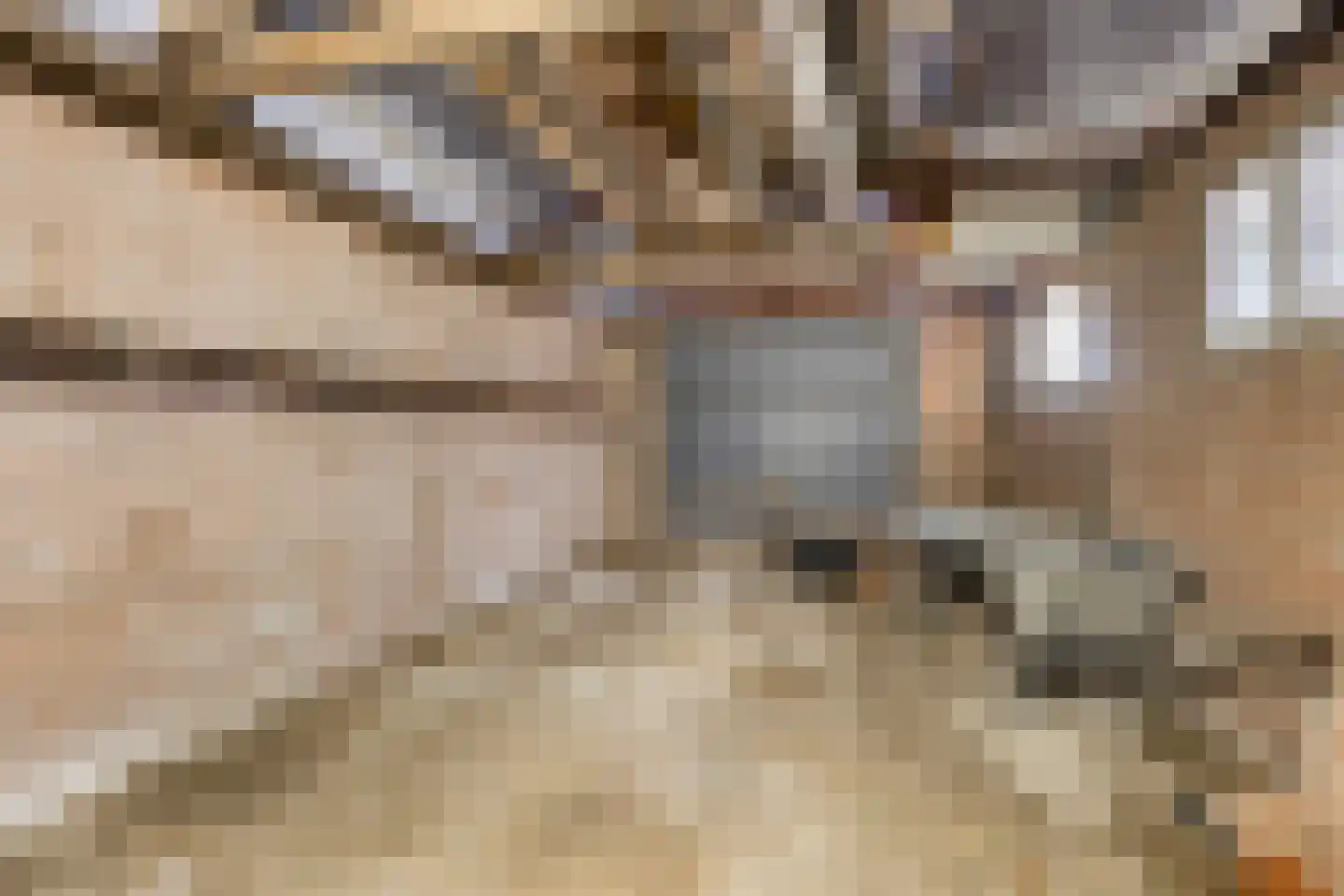Alberdalaan 2 Nijeberkoop thumbnail 30