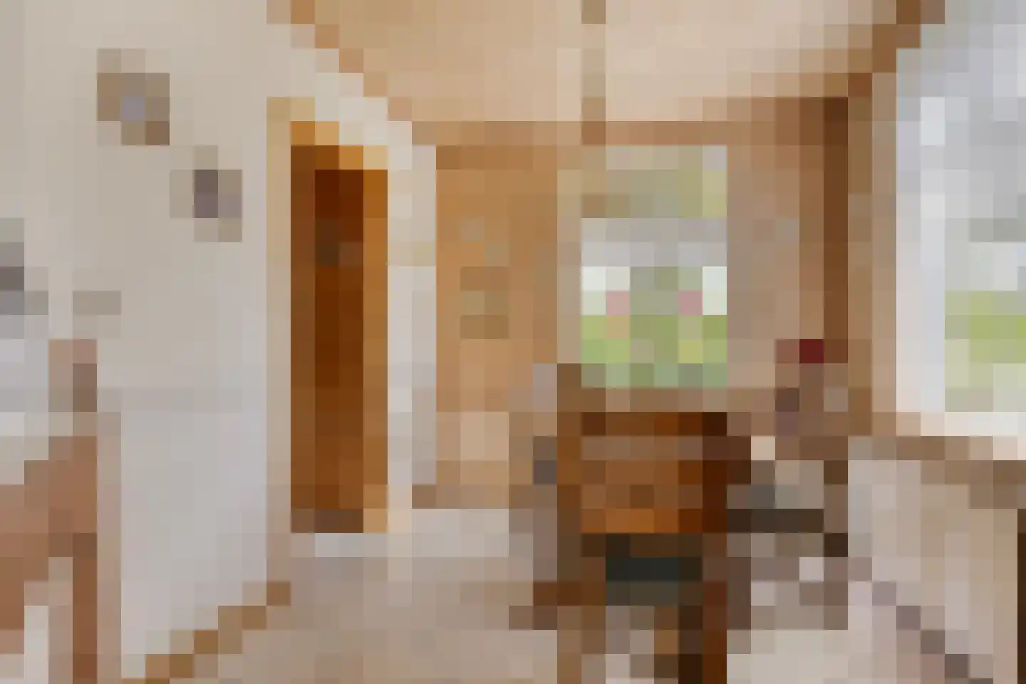 Alberdalaan 2 Nijeberkoop thumbnail 38