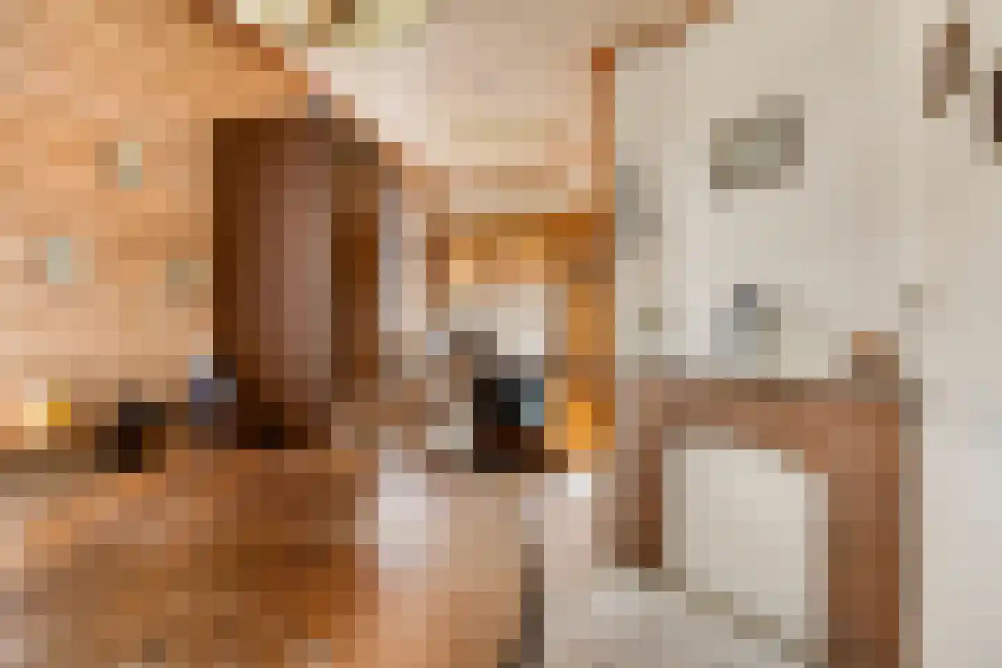 Alberdalaan 2 Nijeberkoop thumbnail 40