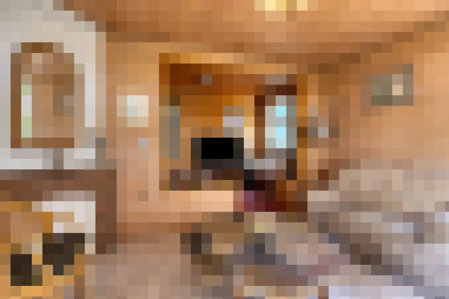 Alberdalaan 2 Nijeberkoop thumbnail 42