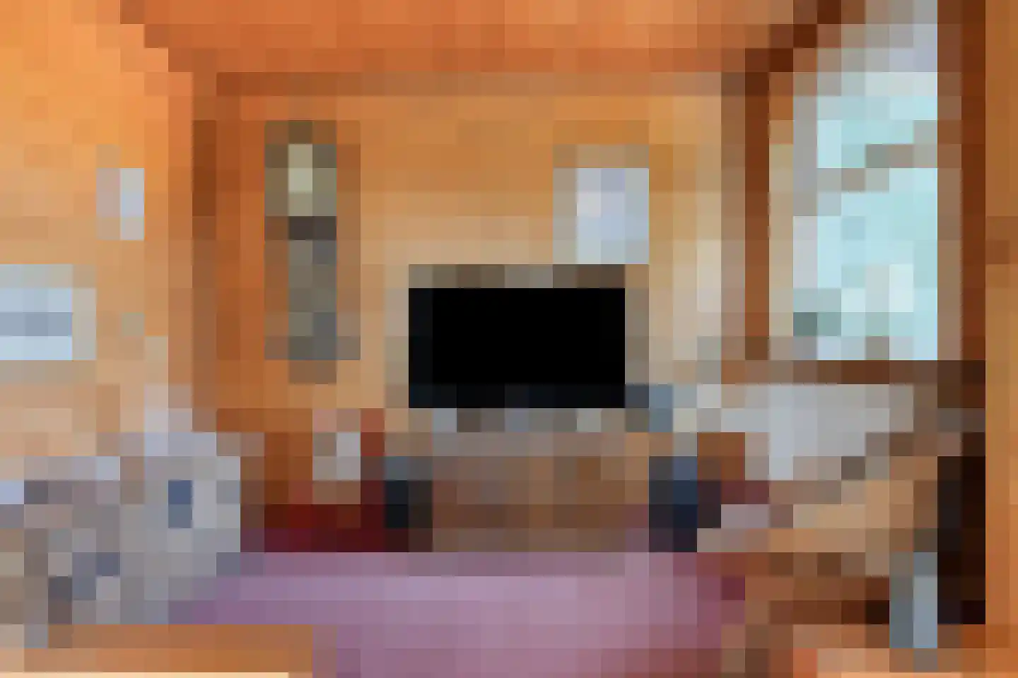 Alberdalaan 2 Nijeberkoop thumbnail 43