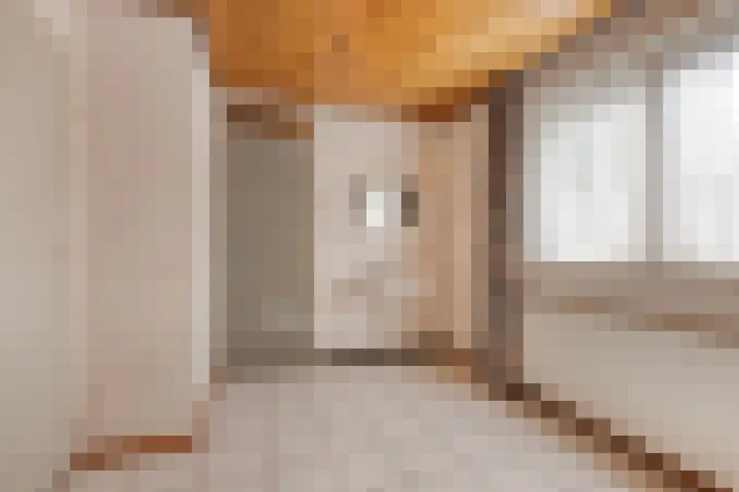 Alberdalaan 2 Nijeberkoop thumbnail 46