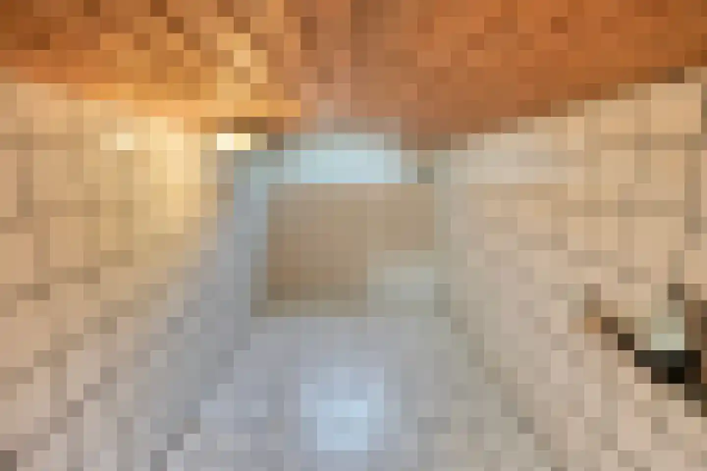 Alberdalaan 2 Nijeberkoop thumbnail 47