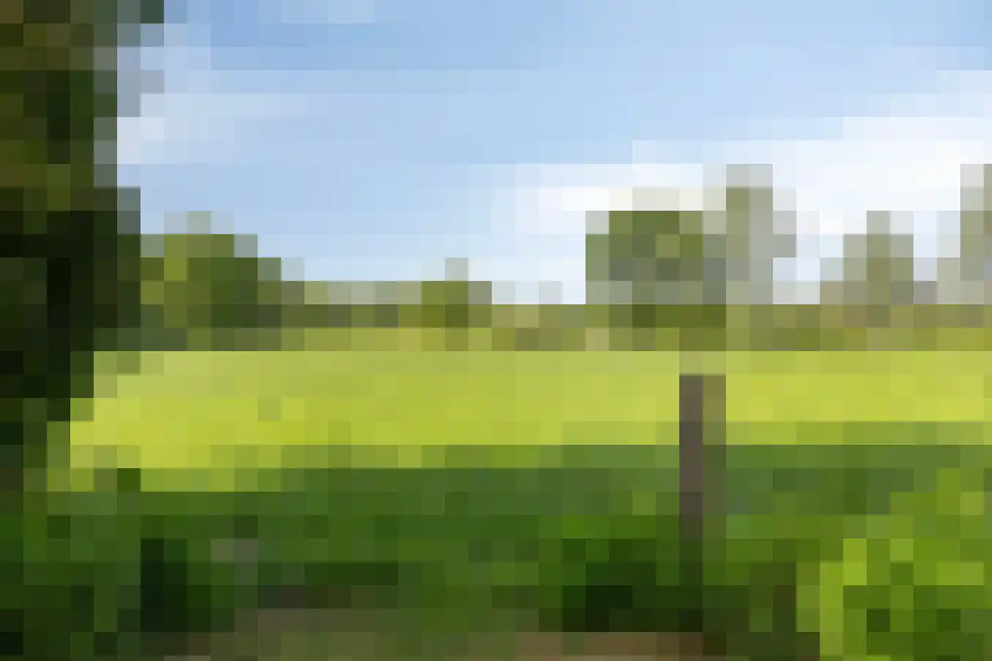 Alberdalaan 2 Nijeberkoop thumbnail 59
