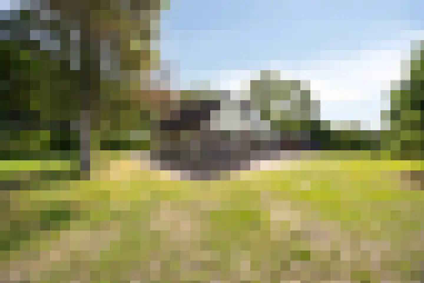 Alberdalaan 2 Nijeberkoop thumbnail 62