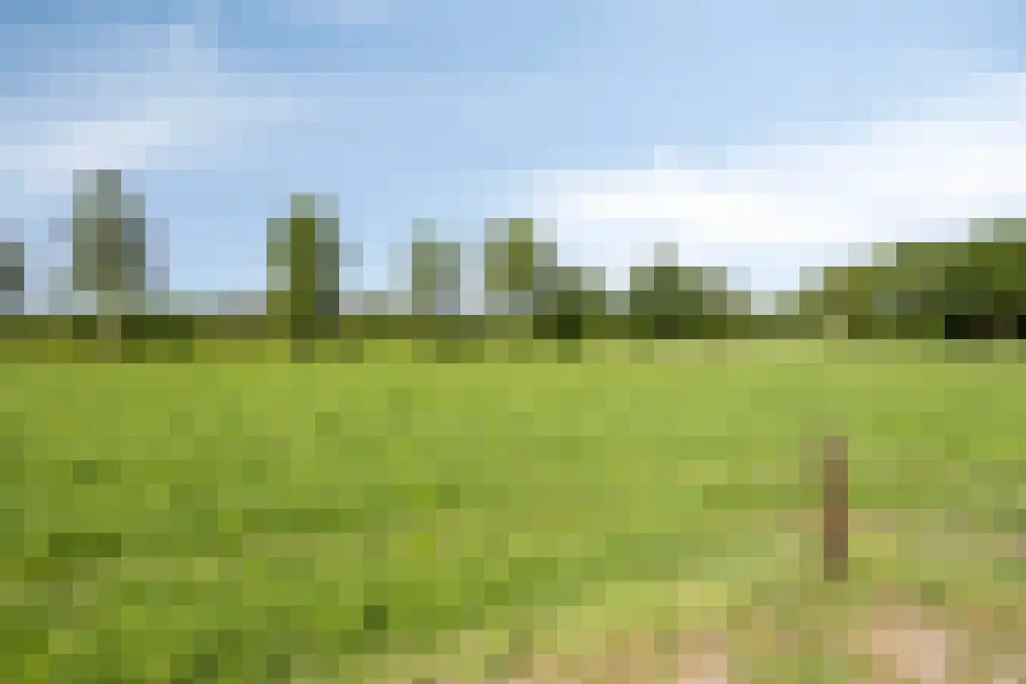 Alberdalaan 2 Nijeberkoop thumbnail 63