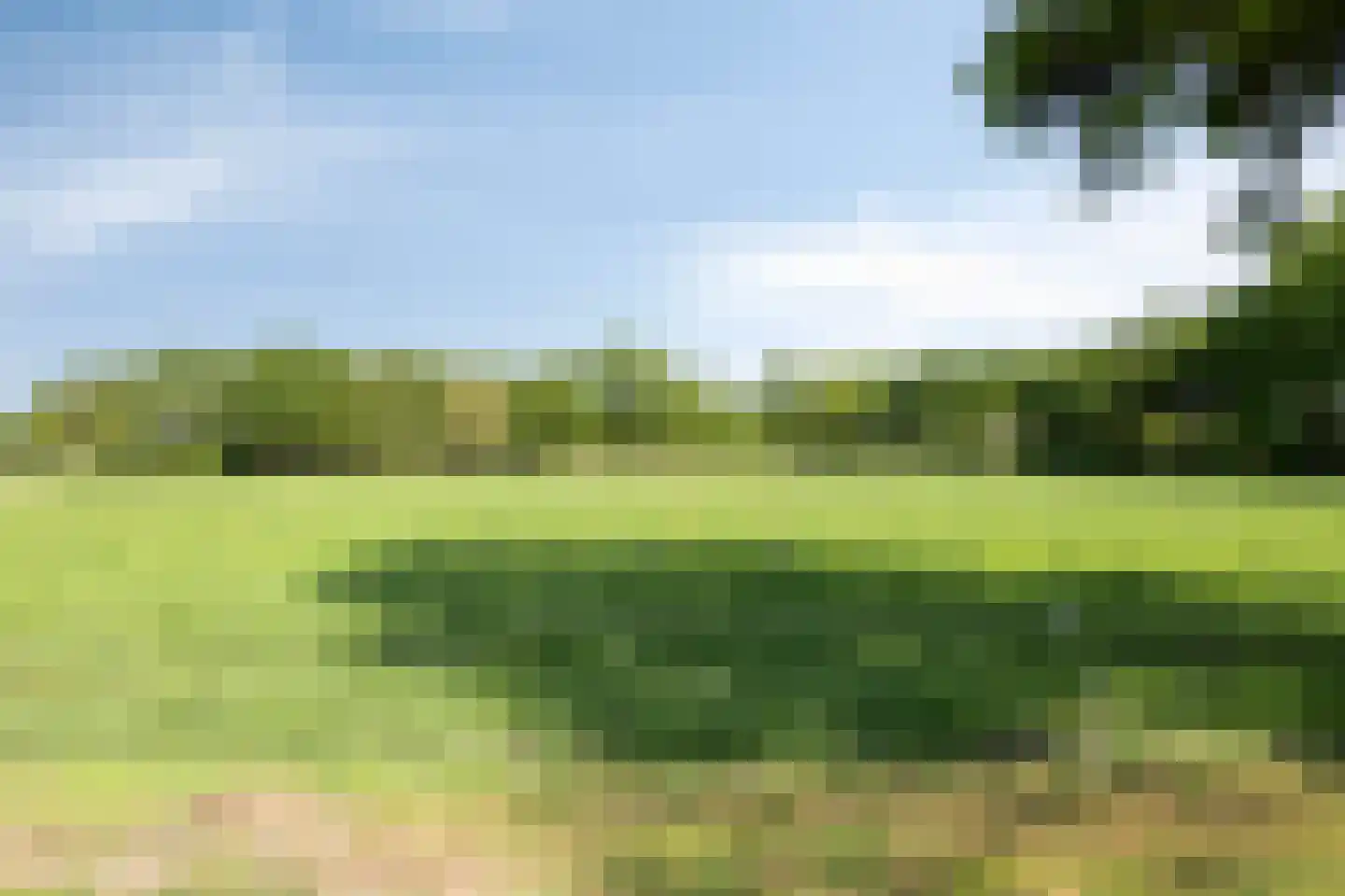 Alberdalaan 2 Nijeberkoop thumbnail 64