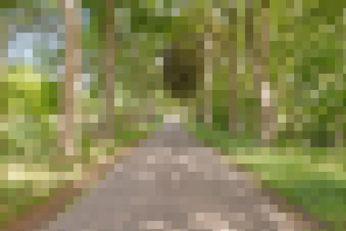 Alberdalaan 2 Nijeberkoop thumbnail 65