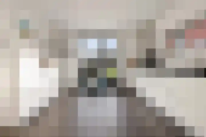 Alberdalaan 3 Uithuizen thumbnail 11