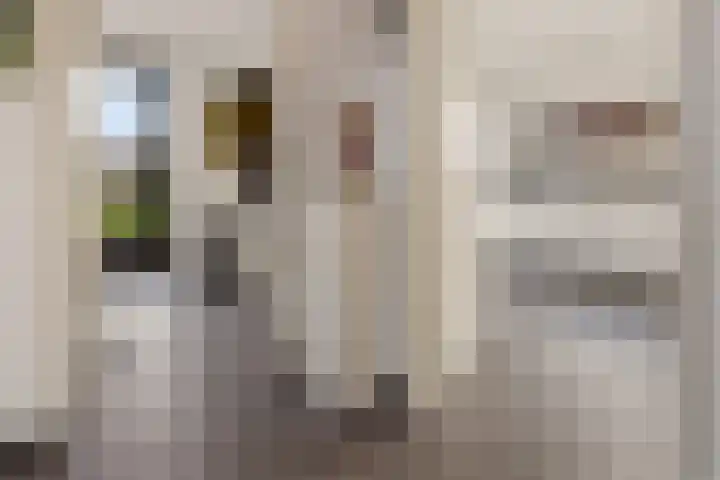 Alberdalaan 3 Uithuizen thumbnail 20