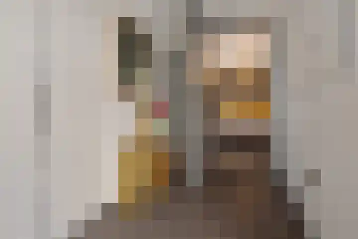 Alberdalaan 3 Uithuizen thumbnail 21