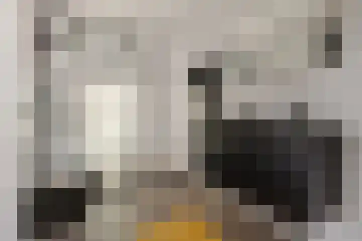 Alberdalaan 3 Uithuizen thumbnail 25