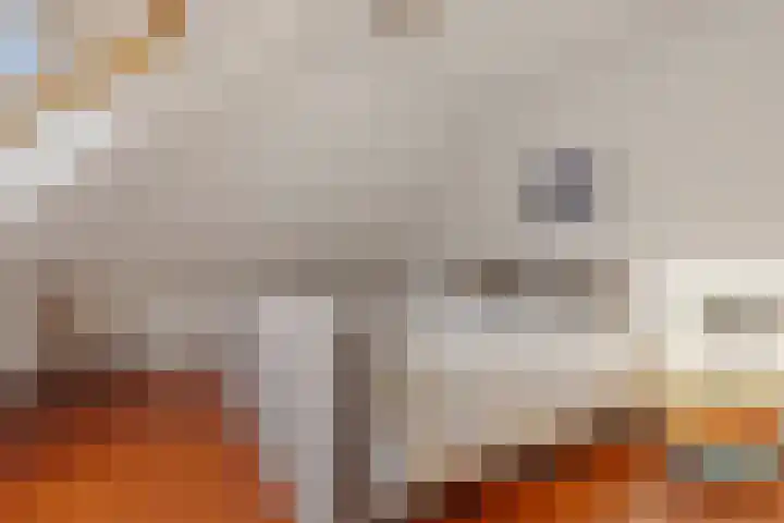 Alberdalaan 3 Uithuizen thumbnail 30