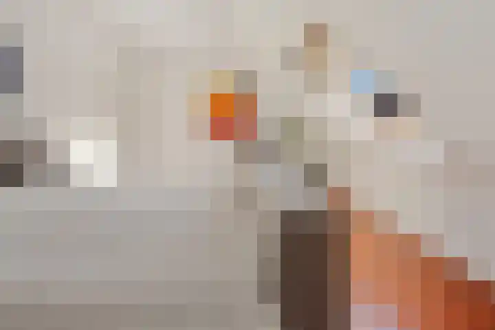 Alberdalaan 3 Uithuizen thumbnail 31