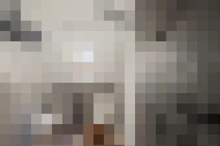 Alberdalaan 3 Uithuizen thumbnail 37