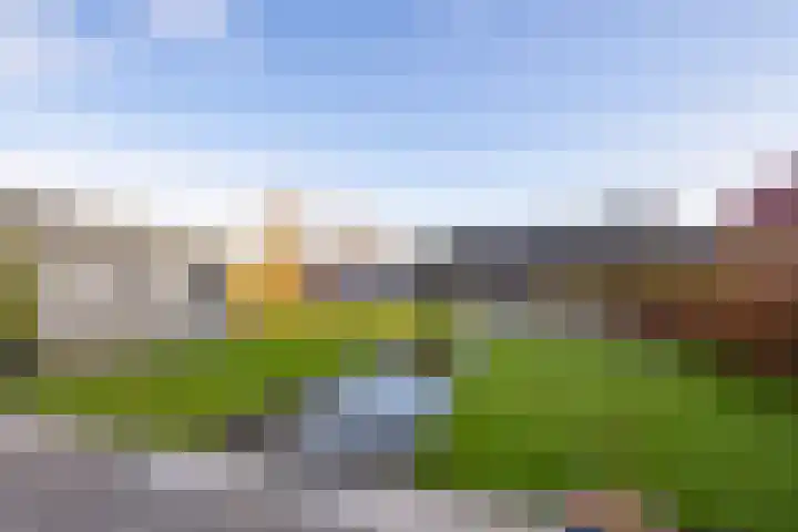 Alberdalaan 3 Uithuizen thumbnail 38