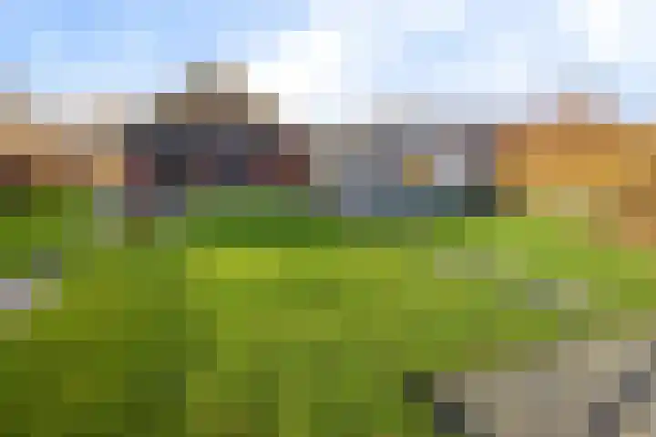 Alberdalaan 3 Uithuizen thumbnail 45