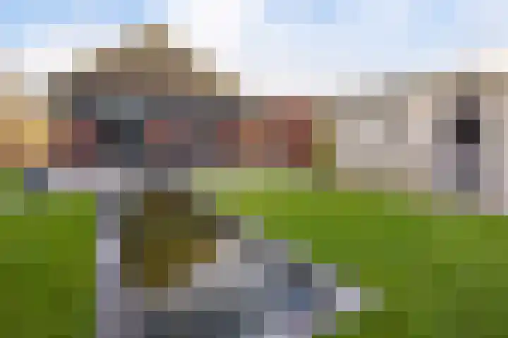 Alberdalaan 3 Uithuizen thumbnail 46