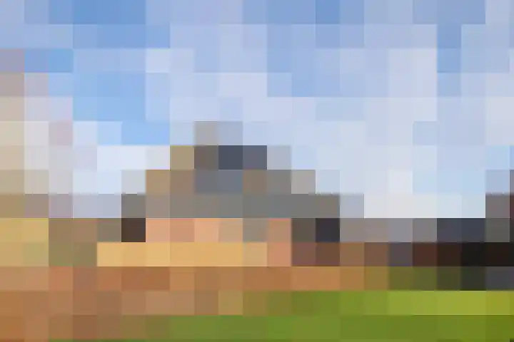 Alberdalaan 3 Uithuizen thumbnail 5